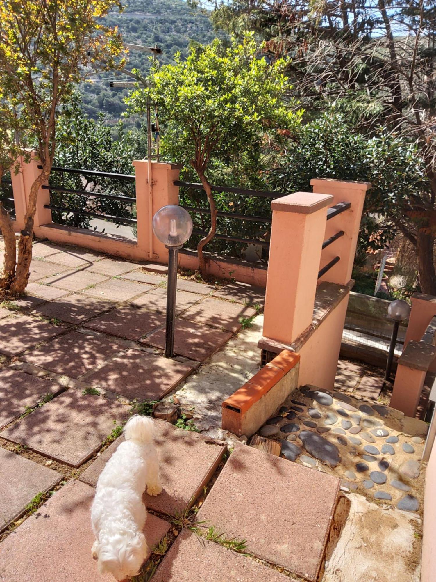 Casa Rosa I.U.N Q9637 Apartment Buggerru Ngoại thất bức ảnh